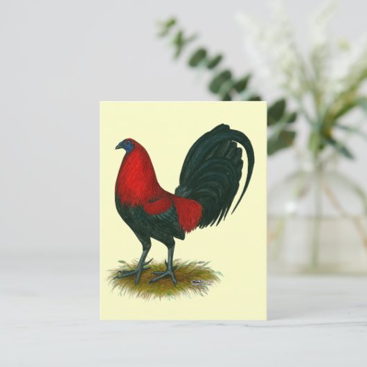 American Gamecock:  Bruin Rood Briefkaart (Staand voorkant)