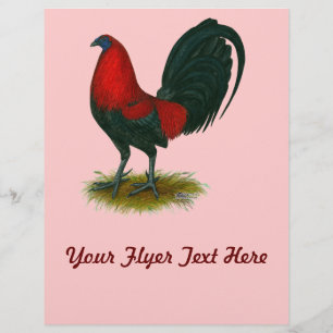 American Gamecock: Bruin Rood Flyer