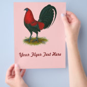 American Gamecock: Bruin Rood Flyer (Hand)