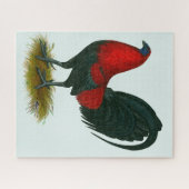 American Gamecock: Bruin Rood Legpuzzel (Horizontaal)