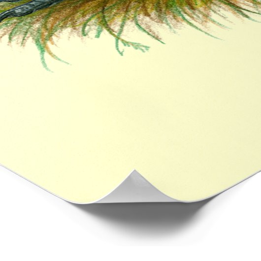 American Gamecock: Bruin Rood Poster (Hoek)