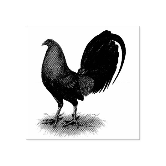 American Gamecock: Bruin Rood Rubberstempel (Afrduk)