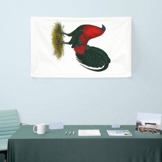 American Gamecock: Bruin Rood Spandoek (Beurs)