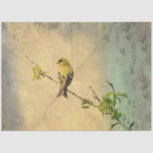 American Gold Finch Bird on Branch Tissue Paper Tissuepapier (Voorkant)