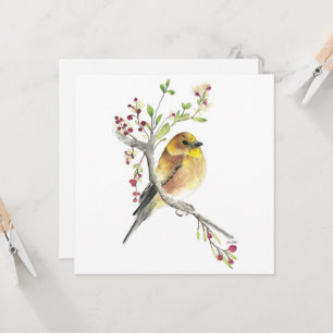 American Goldfinch Bird Berries Card Kaart