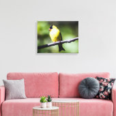 American Goldfinch Canvas Print (Insitu (Woonkamer))