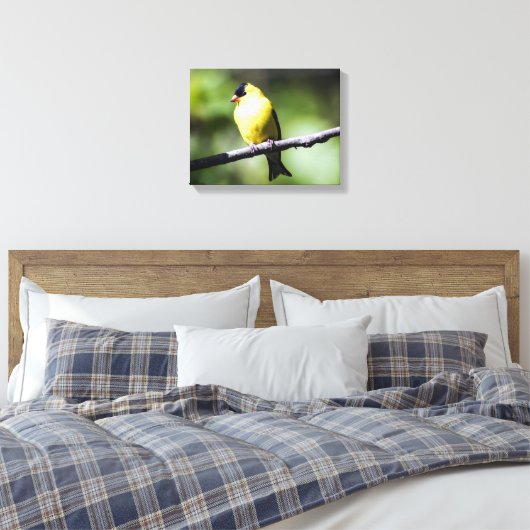 American Goldfinch Canvas Print (Insitu (Slaapkamer))