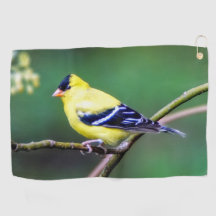 American Goldfinch Golf Towel