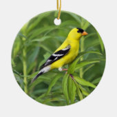 American Goldfinch Ornament (Voorkant)