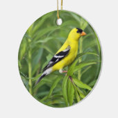 American Goldfinch Ornament (Links)