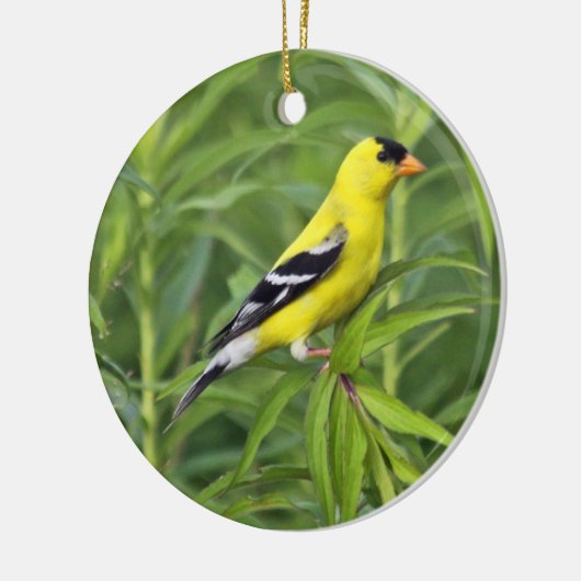 American Goldfinch Ornament (Links)