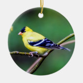 American Goldfinch Ornament (Voorkant)
