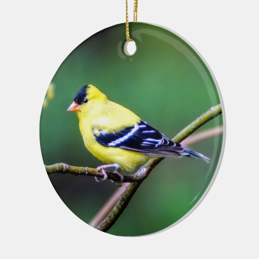 American Goldfinch Ornament (Links)