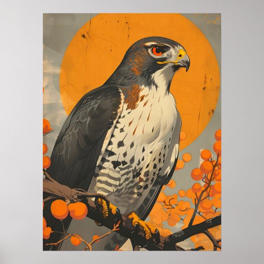 American Goshawk Poster (Voorkant)