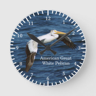 American Great White Pelican klok