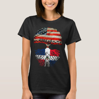 American grown with Dominican Republic roots hispa T-shirt