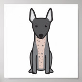 American Hairless Terrier Poster (Voorkant)