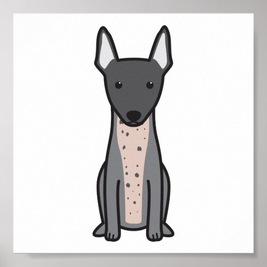 American Hairless Terrier Poster (Voorkant)
