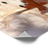 American Indian Princess Dream Catcher Poster (Hoek)