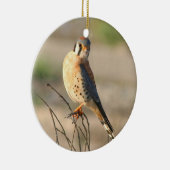 American Kestel Keramisch Ornament (Rechts)