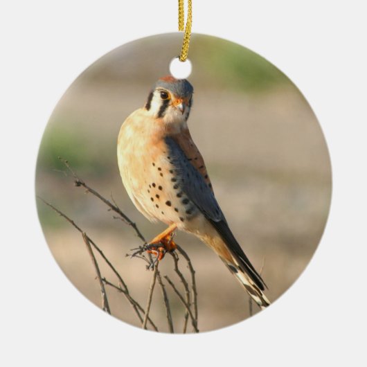 American Kestel Keramisch Ornament (Voorkant)