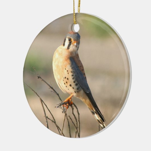 American Kestel Keramisch Ornament (Links)