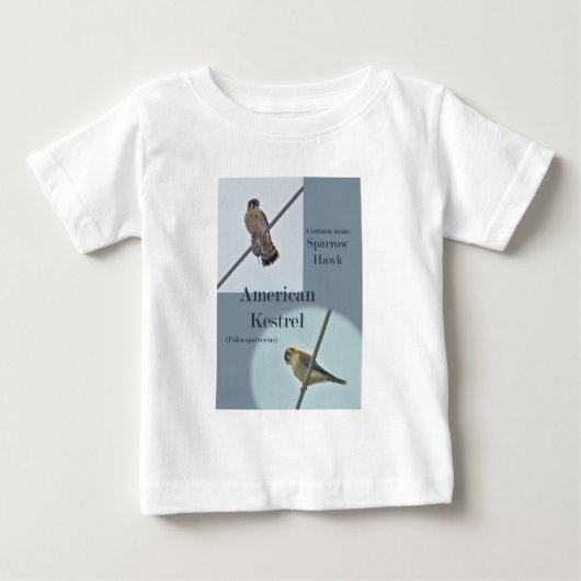 American Kestrel (Falco sparverius) Objecten (Voorkant)