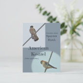 American Kestrel (Falco sparverius) Objecten Briefkaart (Staand voorkant)