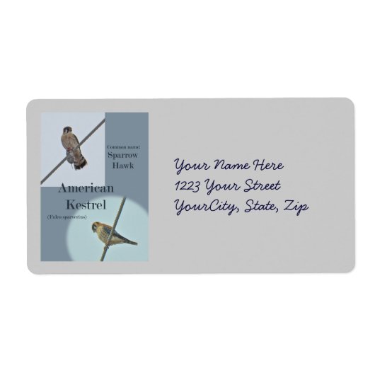 American Kestrel (Falco sparverius) Objecten Etiket (Voorkant)