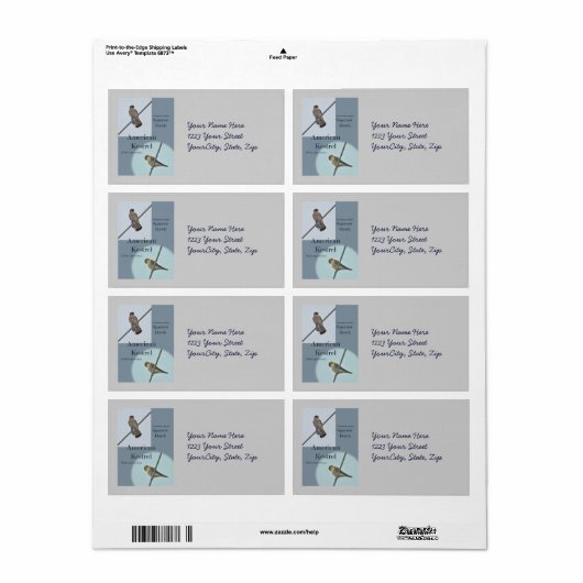 American Kestrel (Falco sparverius) Objecten Etiket (Full Sheet)