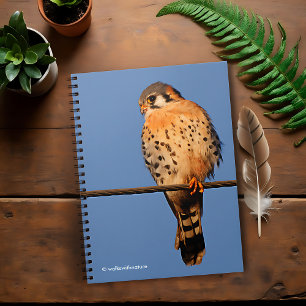 American Kestrel Hawk op een draad Notitieboek