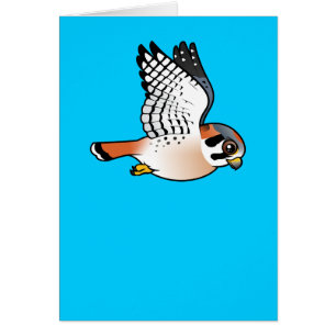 American Kestrel in vlucht