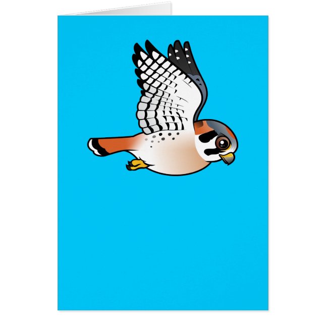 American Kestrel in vlucht (Voorkant)