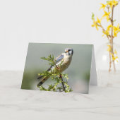 American Kestrel Notecard Kaart (Gele Bloem)
