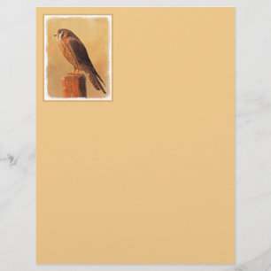American Kestrel Painting - Original Bird Art