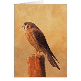American Kestrel Painting - Original Bird Art