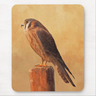 American Kestrel Painting - Original Bird Art Muismat
