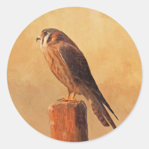 American Kestrel Painting - Original Bird Art Ronde Sticker