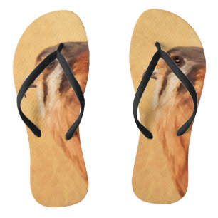 American Kestrel Painting - Original Bird Art Teenslippers
