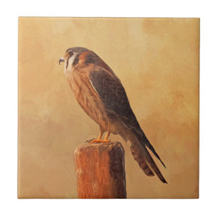 American Kestrel Painting - Original Bird Art Tegeltje