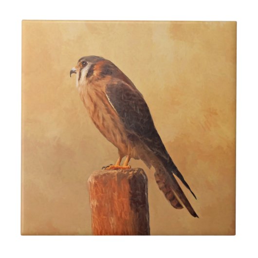 American Kestrel Painting - Original Bird Art Tegeltje (Voorkant)