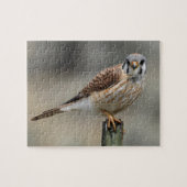 American Kestrel Puzzle Legpuzzel (Horizontaal)