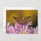 American Lady Butterfly & Clara Curtis Mums Briefkaart (Voorkant / Achterkant)