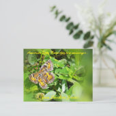 American Lady Butterfly is een boodschapper, FL-br Briefkaart (Staand voorkant)