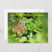 American Lady Butterfly is een boodschapper, FL-br Briefkaart (Voorkant / Achterkant)