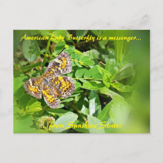 American Lady Butterfly is een boodschapper, FL-br Briefkaart