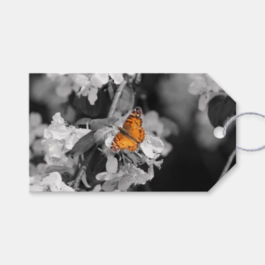 American Lady Butterfly on Blossom Gift Label Cadeaulabel (Voorkant (Horizontaal))