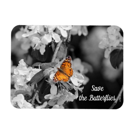 American Lady Butterfly on Blossom Magnet Magneet (Horizontaal)
