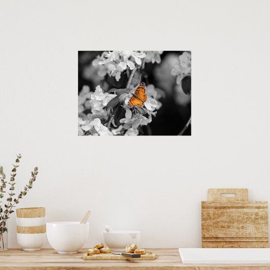 American Lady Butterfly on Blossom Poster (Keuken)