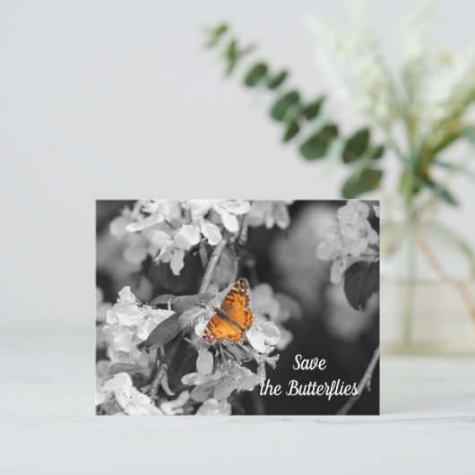 American Lady Butterfly op Apple Blossom Briefkaar Briefkaart (Staand voorkant)